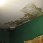 Gallery 206