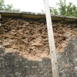 Gallery 217